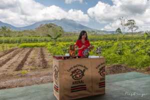 Costa-Rica, Don Jose coffee & chocolate tour next to La Fortuna