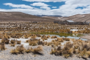 Landscape around Chinitos Patahuasi Rest stop for visitors on their way to Colca Canyon, Peru, 1 of 3