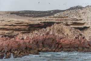 Seascape at the Islands of Ballestas Peru