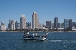 Skyline  San Diego 1