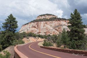 Zion Canyon 2